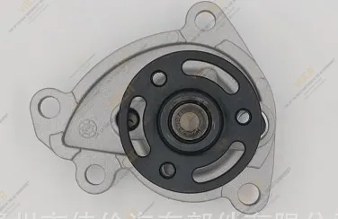 Water Pump 21010-5RF0A