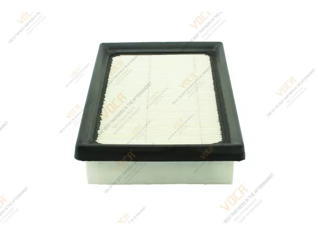 Air Cleaner 17801-21060
