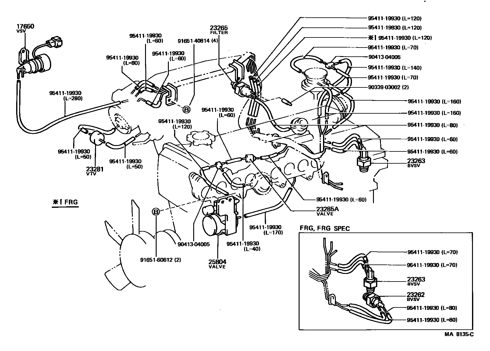 Toyota COROLLA vacuum tube EPC diagram — MA8135C