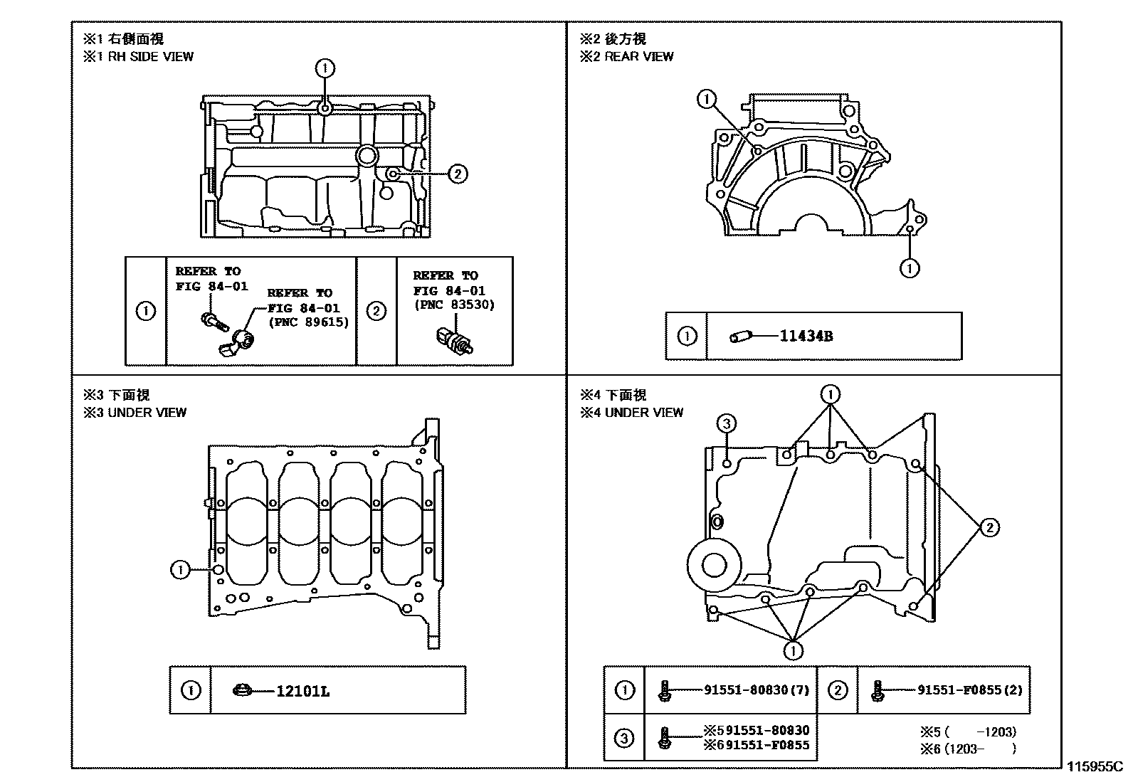 Toyota COROLLA Cylinder Block EPC diagram — 115955C