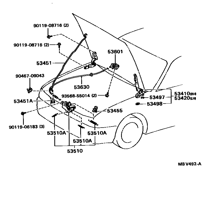 Toyota COROLLA 发动机盖锁和铰链 EPC diagram — MBV492A
