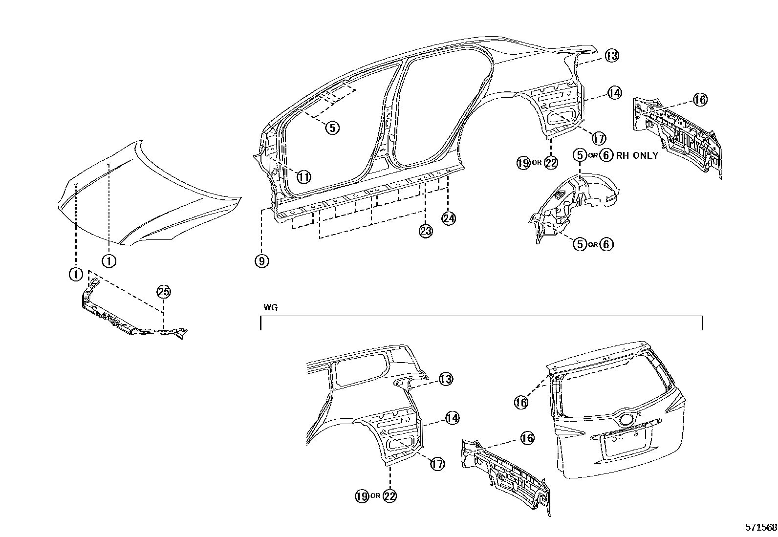 Toyota COROLLA hole plug EPC diagram — 571568
