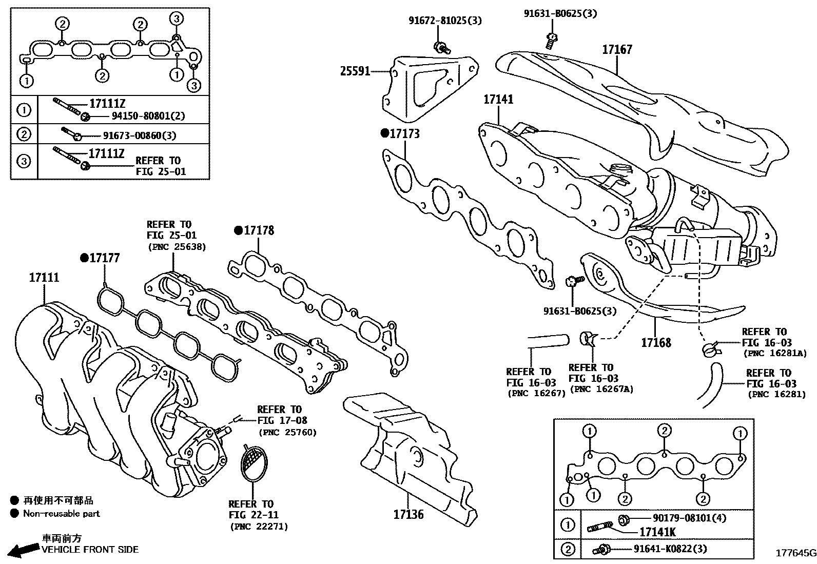 Toyota COROLLA Manifold EPC diagram — 177645G