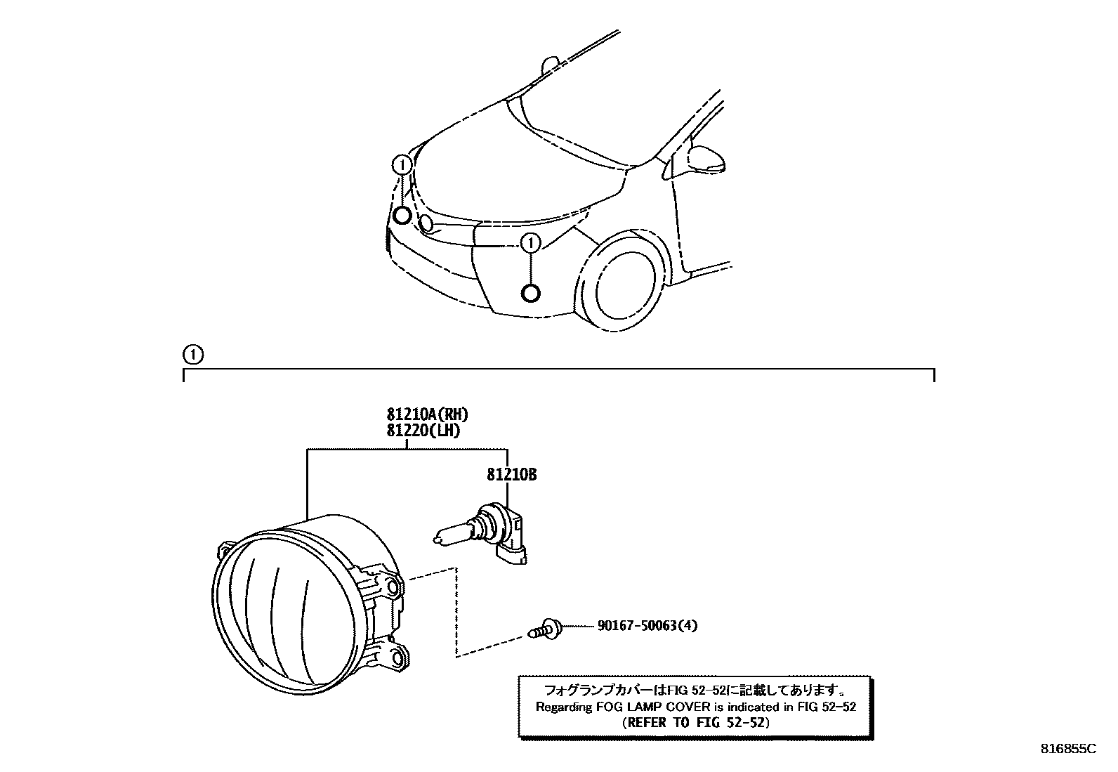 Toyota COROLLA Fog Lamp EPC diagram — 816855C