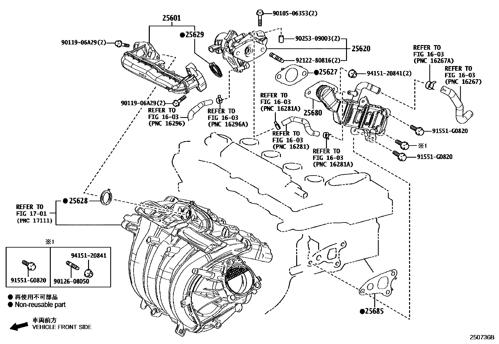 Toyota COROLLA 废气再循环系统 EPC diagram — 250736B