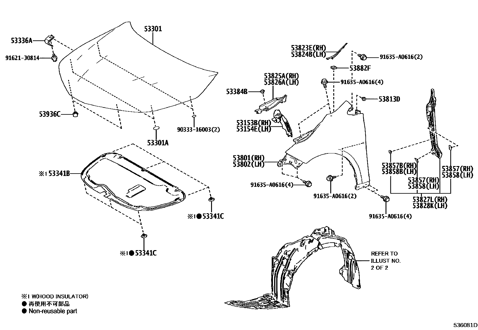 Toyota COROLLA 发动机盖和前翼子板 EPC diagram — 536081D