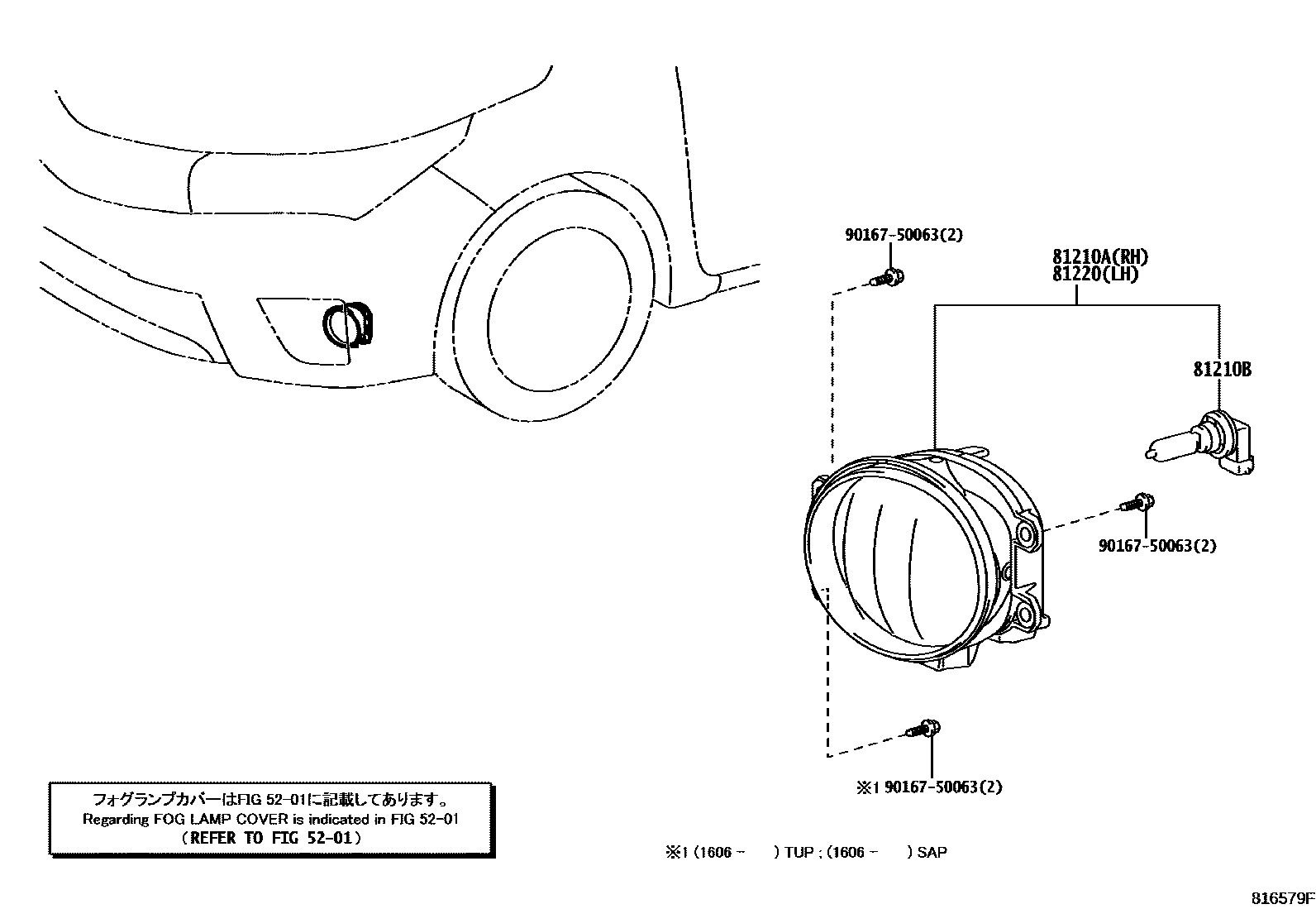 Toyota COROLLA Fog Lamp EPC diagram — 816579F