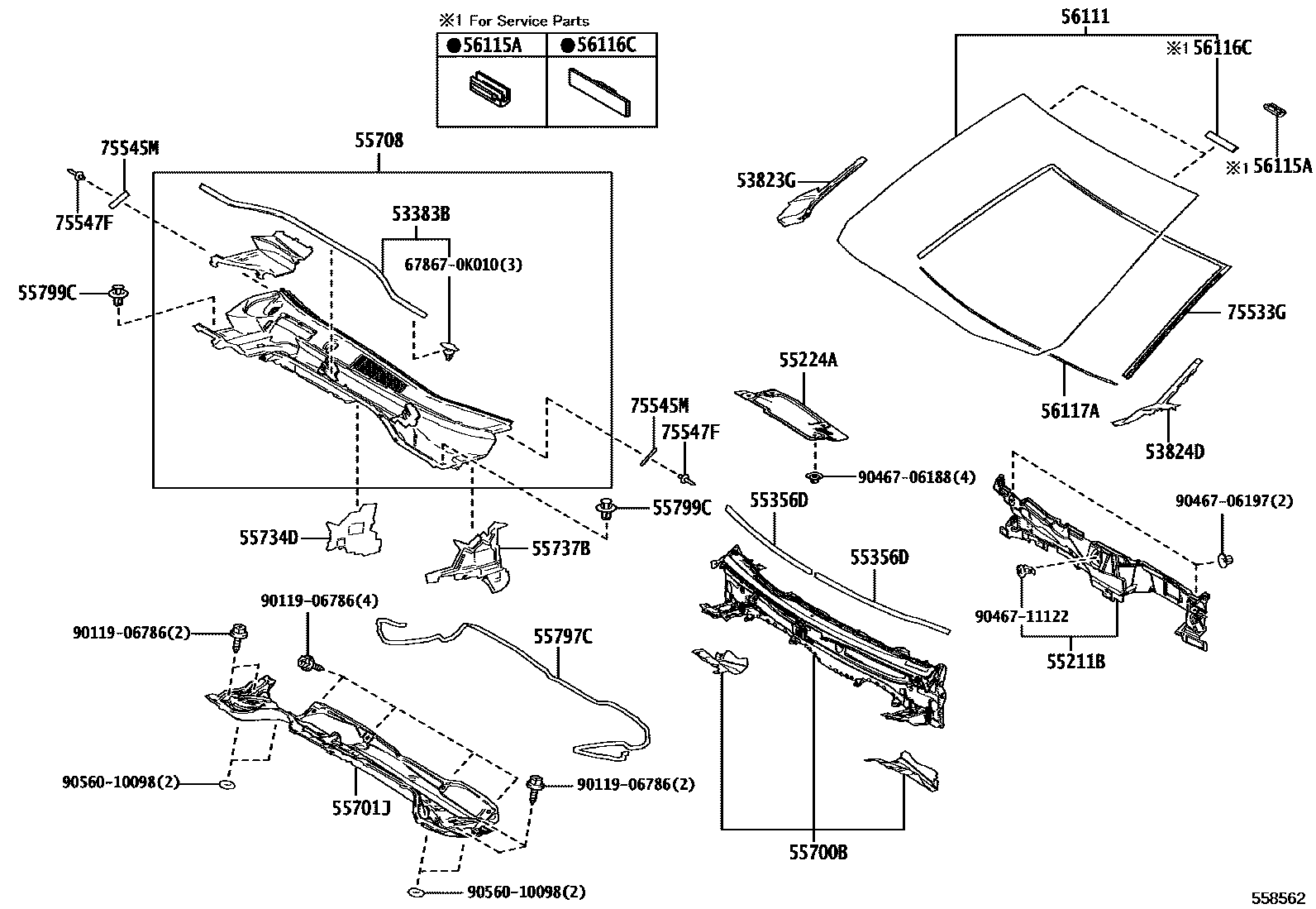 Toyota COROLLA 前围板和挡风玻璃 EPC diagram — 558562