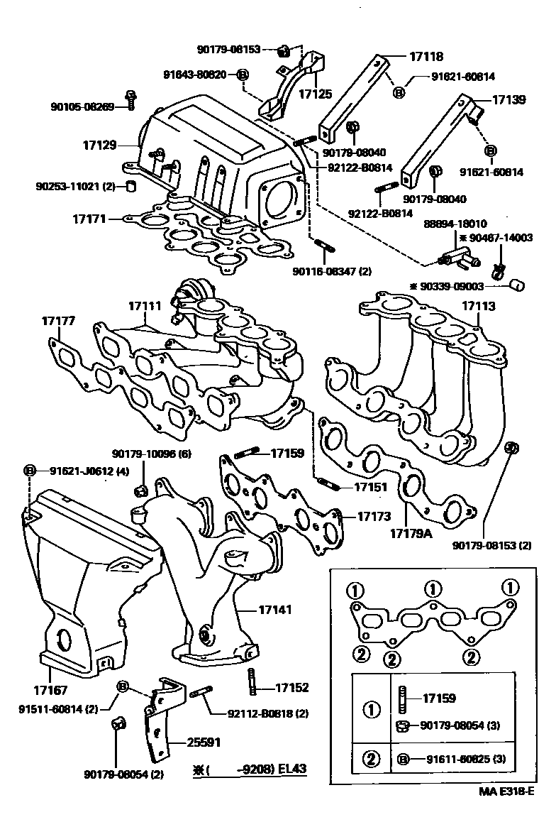 Toyota COROLLA Manifold EPC diagram — MAE318E