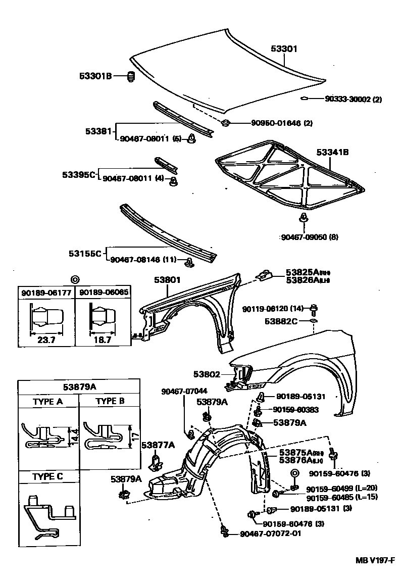 Toyota COROLLA 发动机盖和前翼子板 EPC diagram — MBV197F