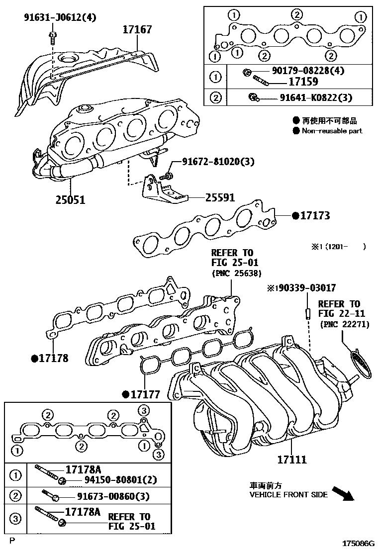 Toyota COROLLA Manifold EPC diagram — 175086G