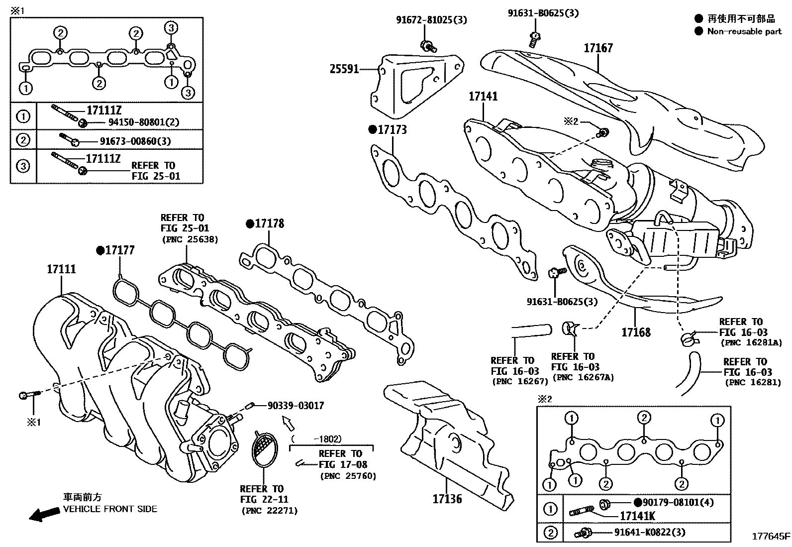 Toyota COROLLA Manifold EPC diagram — 177645F