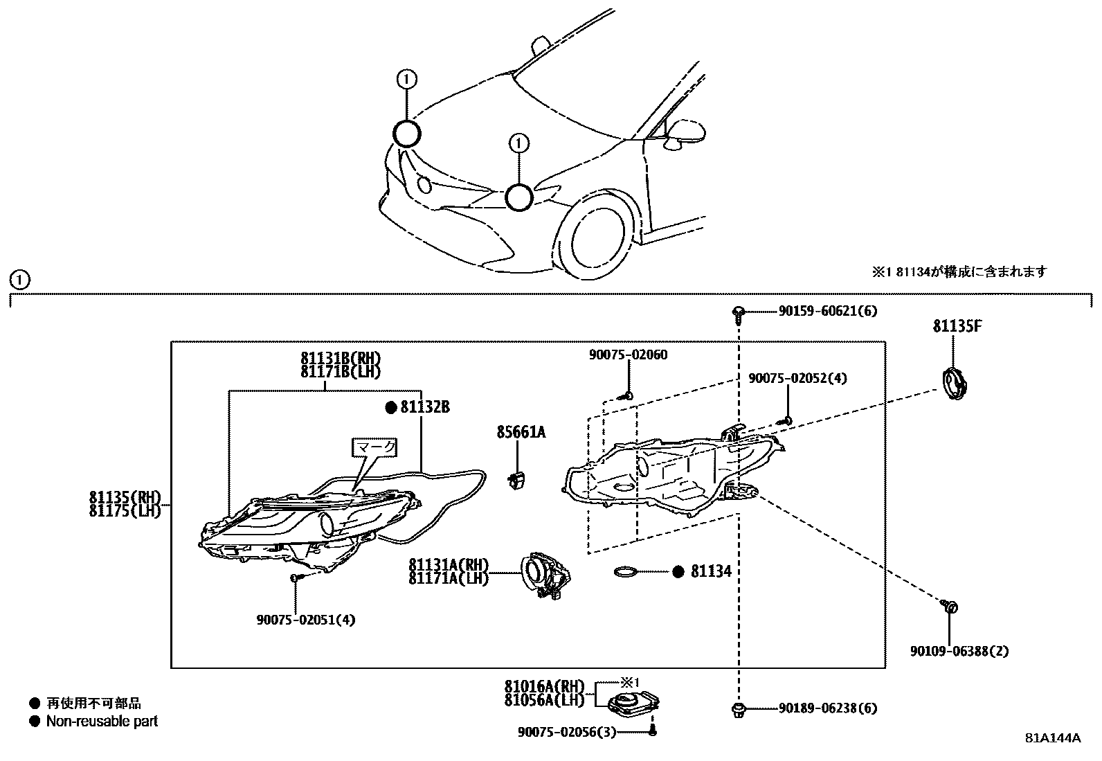 Toyota CAMRY Headlamp EPC diagram — 81A144A
