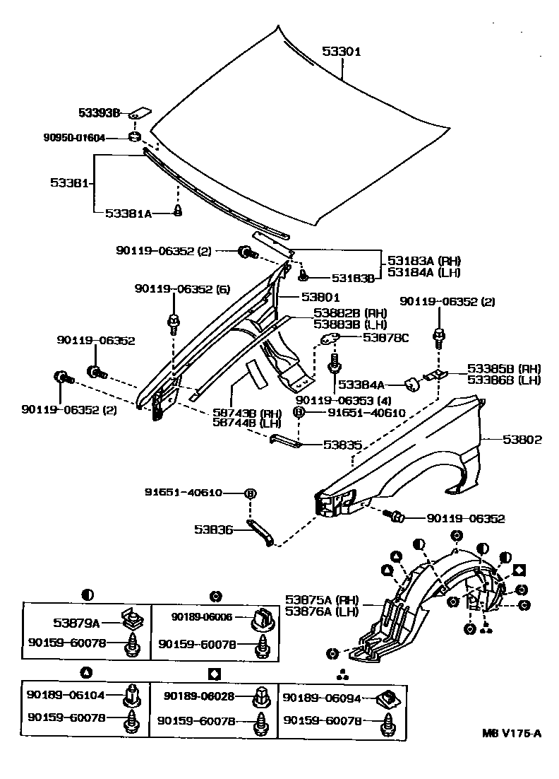 Toyota COROLLA 发动机盖和前翼子板 EPC diagram — MBV175A
